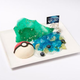 Illustration for article titled Pokémon Omega Ruby and Alpha Sapphire Get Official Cafe